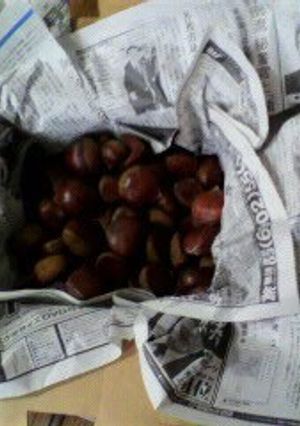 A picture of How to Store Chestnuts So They Become Sweet.