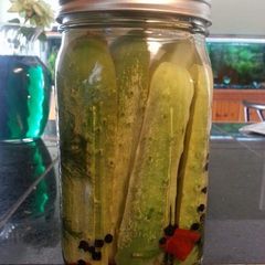 A picture of Spicy Dill Refrigerator Pickles.