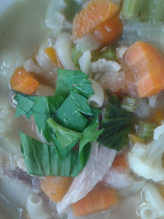 A picture of Macaroni chicken soup.