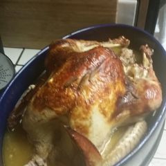 A picture of Drunken Turkey.