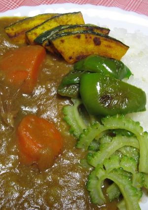 A picture of Rich and Tasty Beef Tendon Curry Made in a Pressure Cooker.