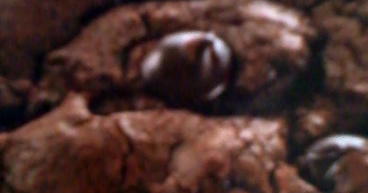 Nestle Toll House Jumbo Dark Chocolate Cookies Recipe By ...