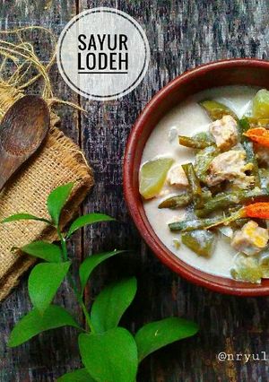 Foto resep Sayur Lodeh Aduhai