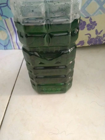 Langkah Mudah untuk Membuat Resep Sirup pandan yang Sempurna Anti Ribet, Mantap Sekali