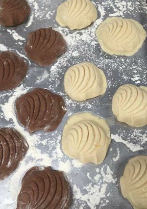 Una foto de Conchas