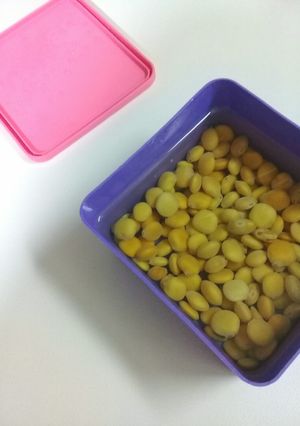 Una foto de Lupines🌼