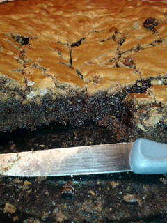 A picture of Heavenly Chocolicious Brownies.