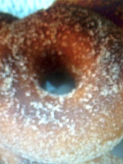A picture of Fried Donuts!.