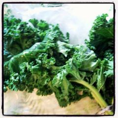 A picture of AMIEs KALE Roll.
