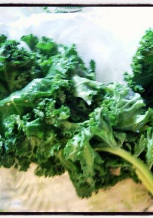 A picture of AMIEs KALE Roll.