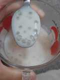 Sagu de leite Diet