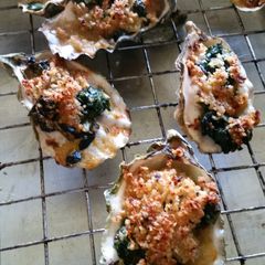A picture of Oysters RockaRusty.