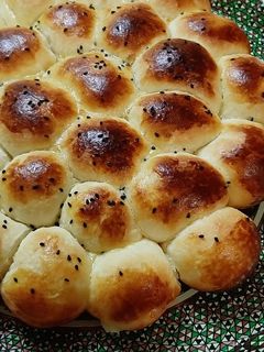 عکسی از دستور فطایر