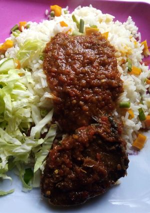 A picture of Rice and Stew.