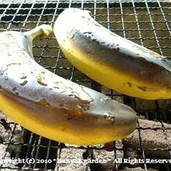 A picture of Summer Food!! BBQ Grilled Banana.