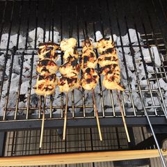 A picture of Yoghurt marinated chicken skewers.