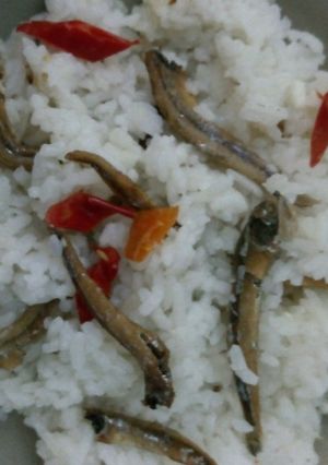 Foto resep Nasi Liwet Teri Ala anak rantau