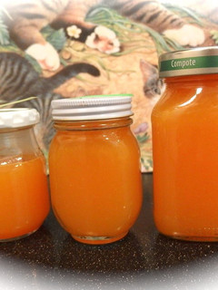 A picture of Passion Fruit Syrup.