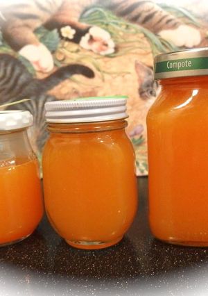 A picture of Passion Fruit Syrup.