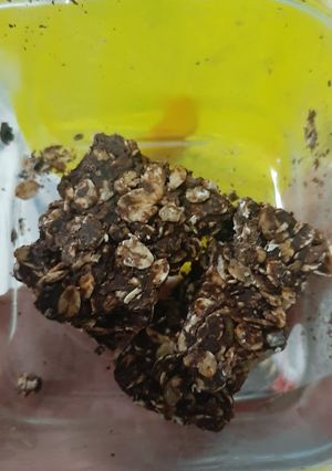 Foto resep Snackbar: Oatmeal Cokelat