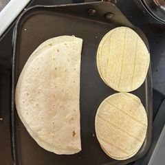 A picture of Cricket Quesadilla.