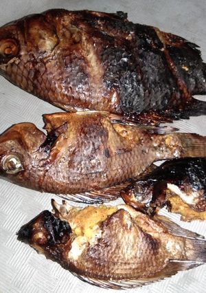 Foto resep Ikan nila bakar jadol