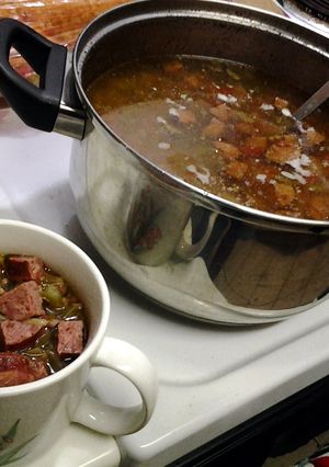 A picture of Armadillo soup.