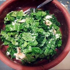 A picture of Mayo chicken salad.