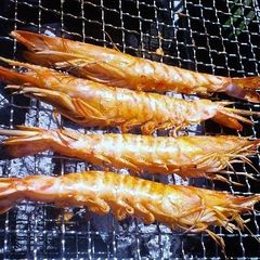 A picture of Grilling Salted Shrimp for Barbecues or an Easy Appetizer!.