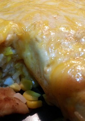 A picture of Chicken burrito enchiladas.