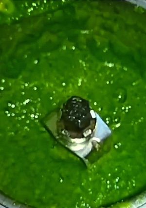 A picture of Green Chilli - Coriander Chutney 📌.