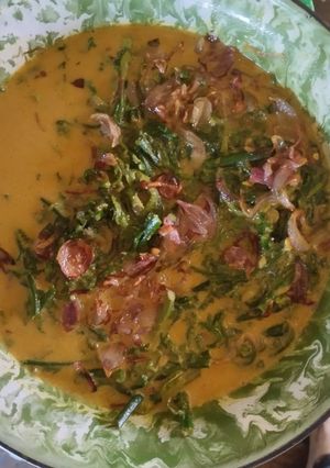 Foto resep Sayur pakis santan