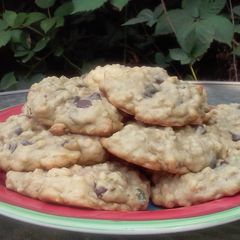 A picture of Pumpkin Chip Cookies.