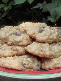A picture of Pumpkin Chip Cookies.