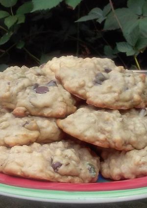 A picture of Pumpkin Chip Cookies.