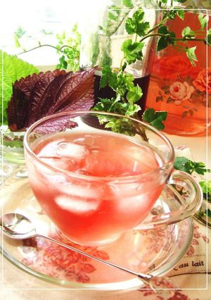 A picture of 3-Ingredient Recipe Shiso Juice for Beautiful & Healthy Skin.