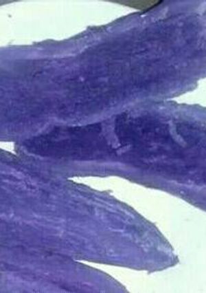 A picture of Boiled purple sweet potatoes.