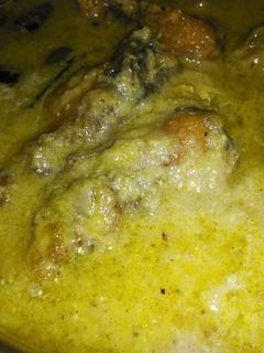 দই কাতলা(doi katla recipe in Bengali) রেসিপির প্রধান ছবি