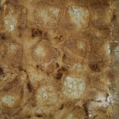 A picture of Apple Dump Cake.