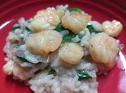 A picture of seafood risotto