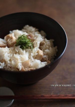 A picture of Ginger Chicken Rice.