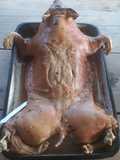 Cochinillo en el campo