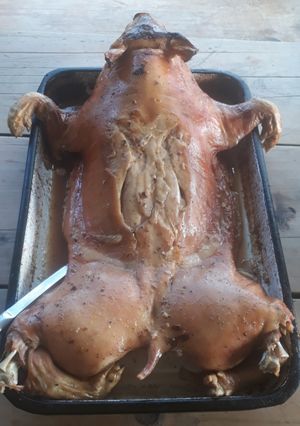 Una foto de Cochinillo en el campo