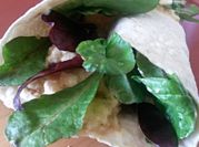 A picture of wraps or tortillas