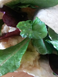 A picture of Sig's Cauliflower Wrap.