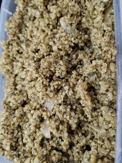 Foto de Risoto de quinoa com espinafre