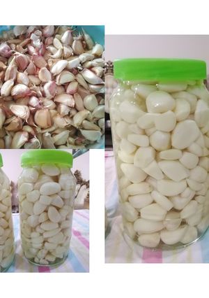 عکسی از دستور ترشی سیر صدفی