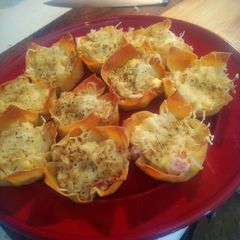A picture of Reuben Wonton Cups.