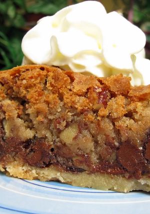 A picture of Chocolate chip pie.
