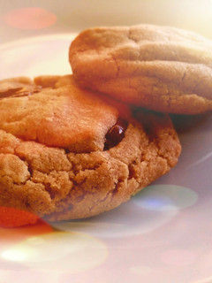A picture of Chocolate Spice Cookies.